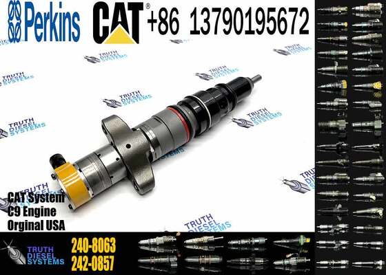 Excavator Accessories Fuel Injector 225-0117 236-0957 238-8092 240-8063 242-0857 245-3516 for CAT C9 Construction Machinery