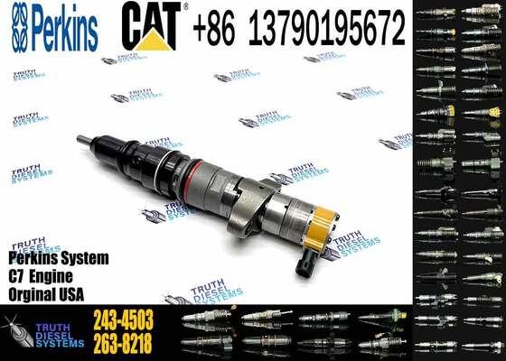 ERIKC 295 1409 Fuel Pump Injector 295-1409 243 4503 Common Rail Injector 2434503 Diesel Truck Injection 2951409 243-4503