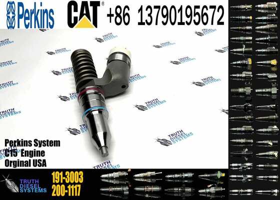 Hot Sale 191-3003 Common Rail Injector C15 diesel Injector for Fuel Injection Pump for CAT diesel Engine