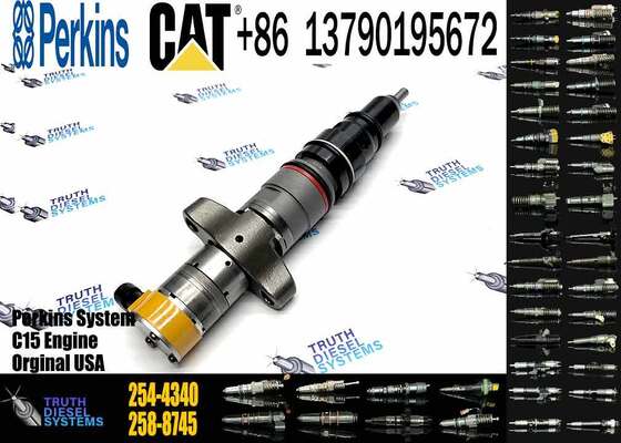 E324D E325D Excavator Parts D6R C9 Fuel Injector 254-4340 20R-8066