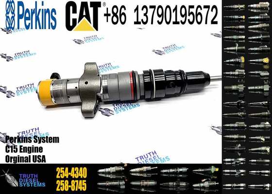 E324D E325D Excavator Parts D6R C9 Fuel Injector 254-4340 20R-8066
